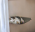 phototune.ai_1780851259 (1).png